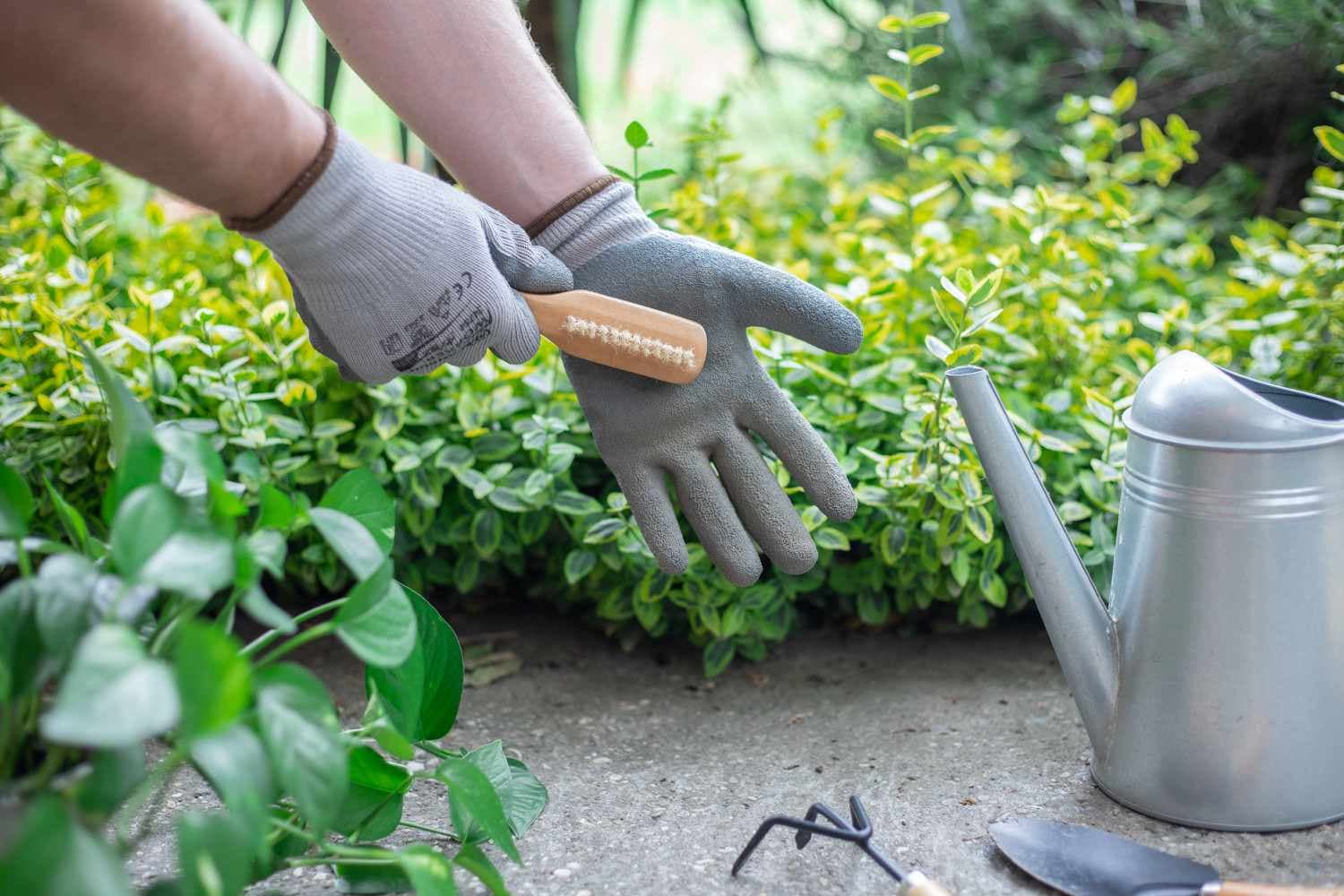 Gardening gloves