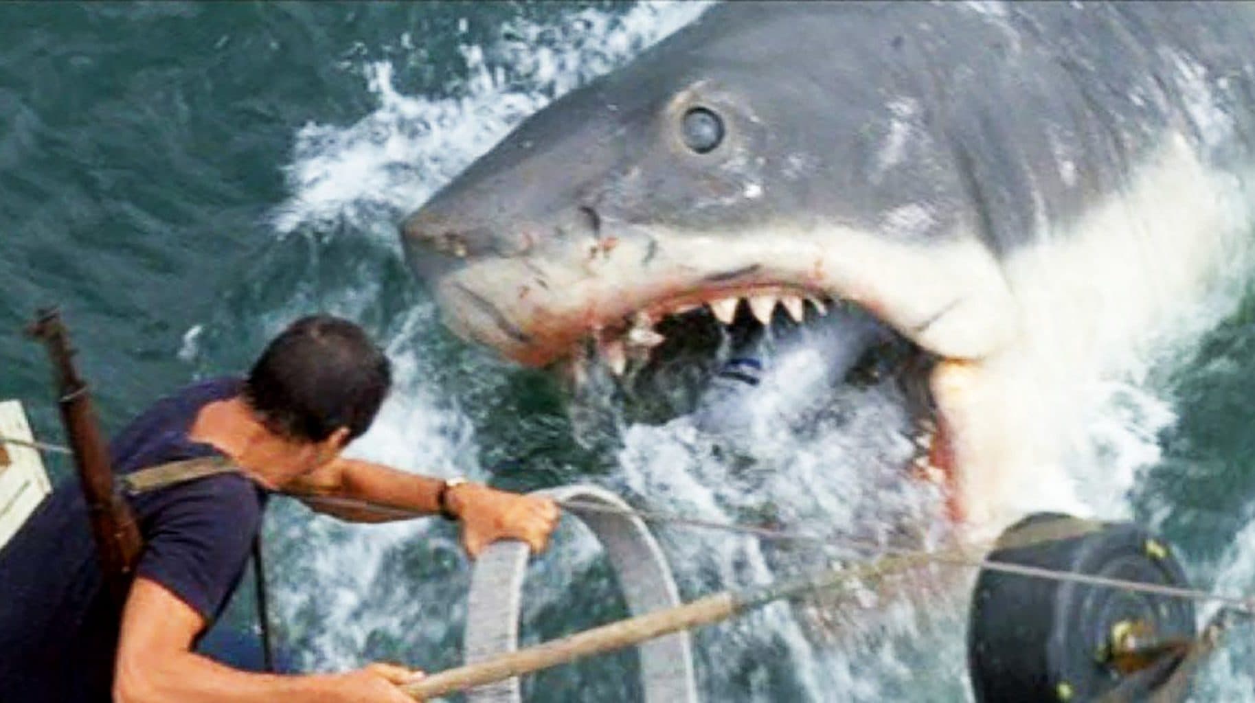 Jaws