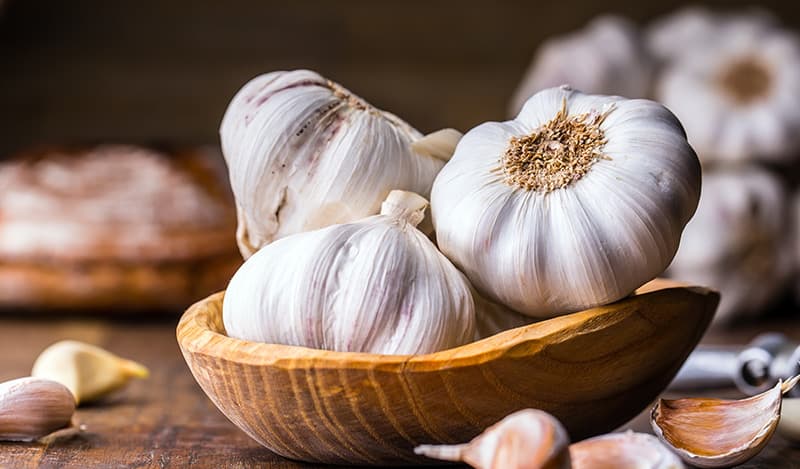 Garlic
