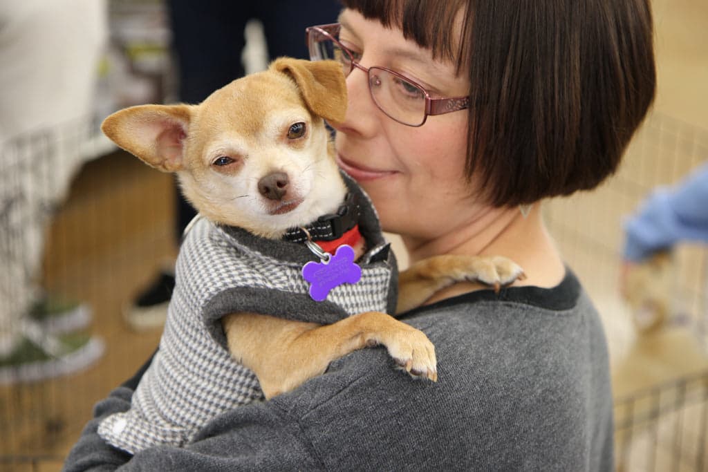 Animal Friends Rescue Project