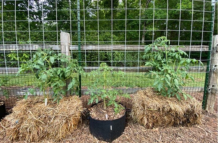 A Way to Garden