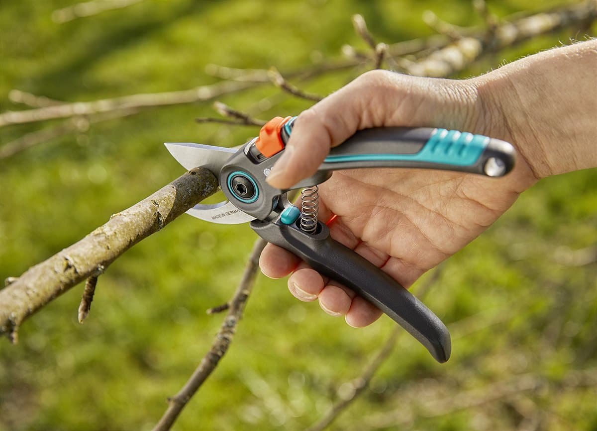 Secateurs
