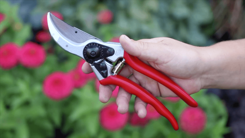 Felco 2