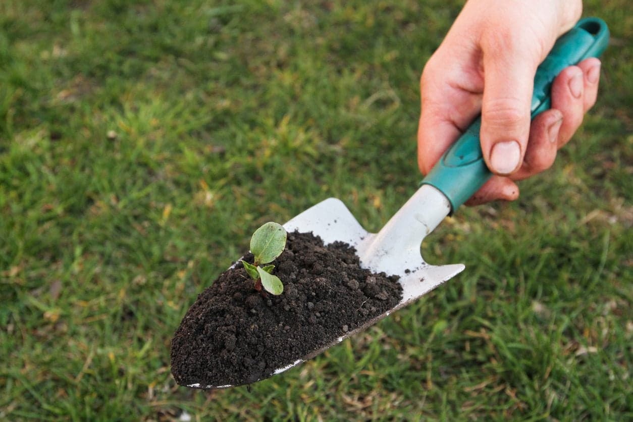 A hand trowel