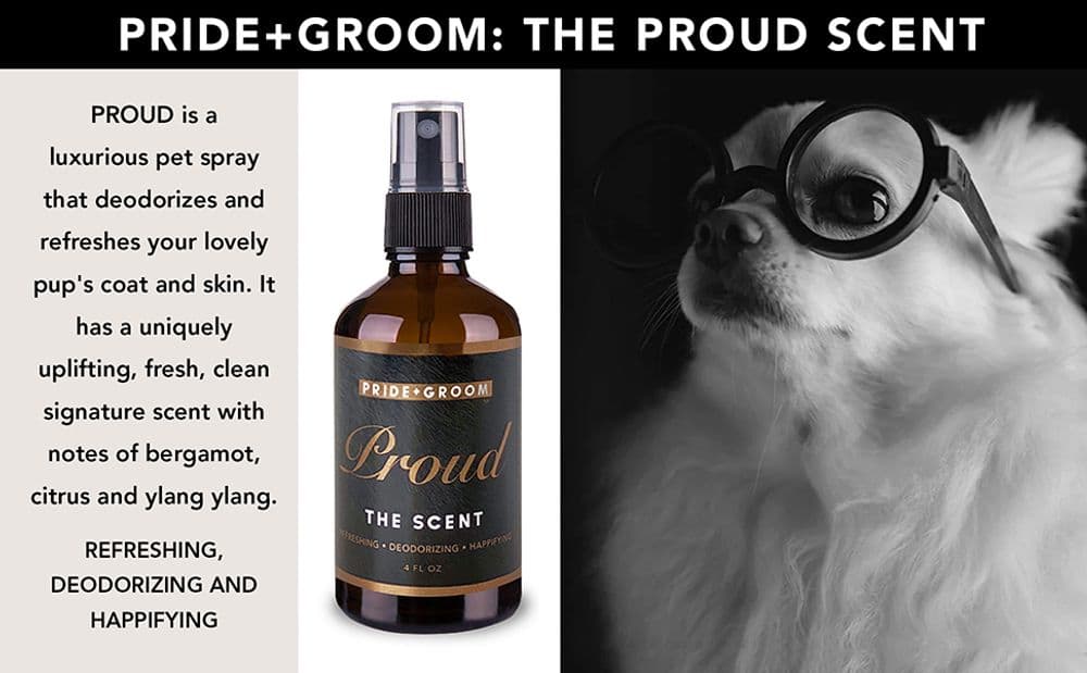 Pride + Groom — Pet Shampoo, Conditioner, & Spray