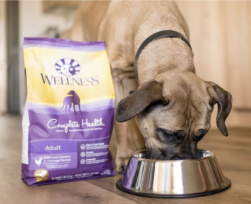 Wellness Complete Health Dry Dog Food