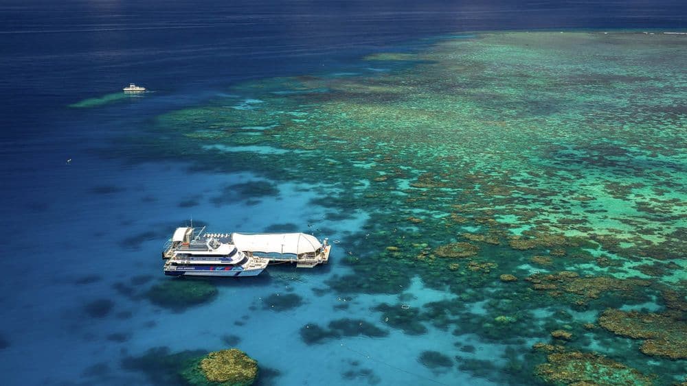 Explore the Great Barrier Reef
