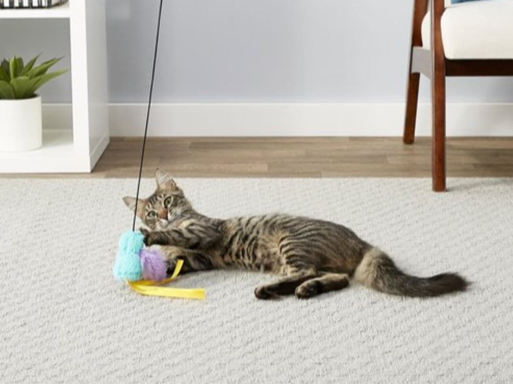 Frisco Bird with Feathers Teaser Wand Cat Toy