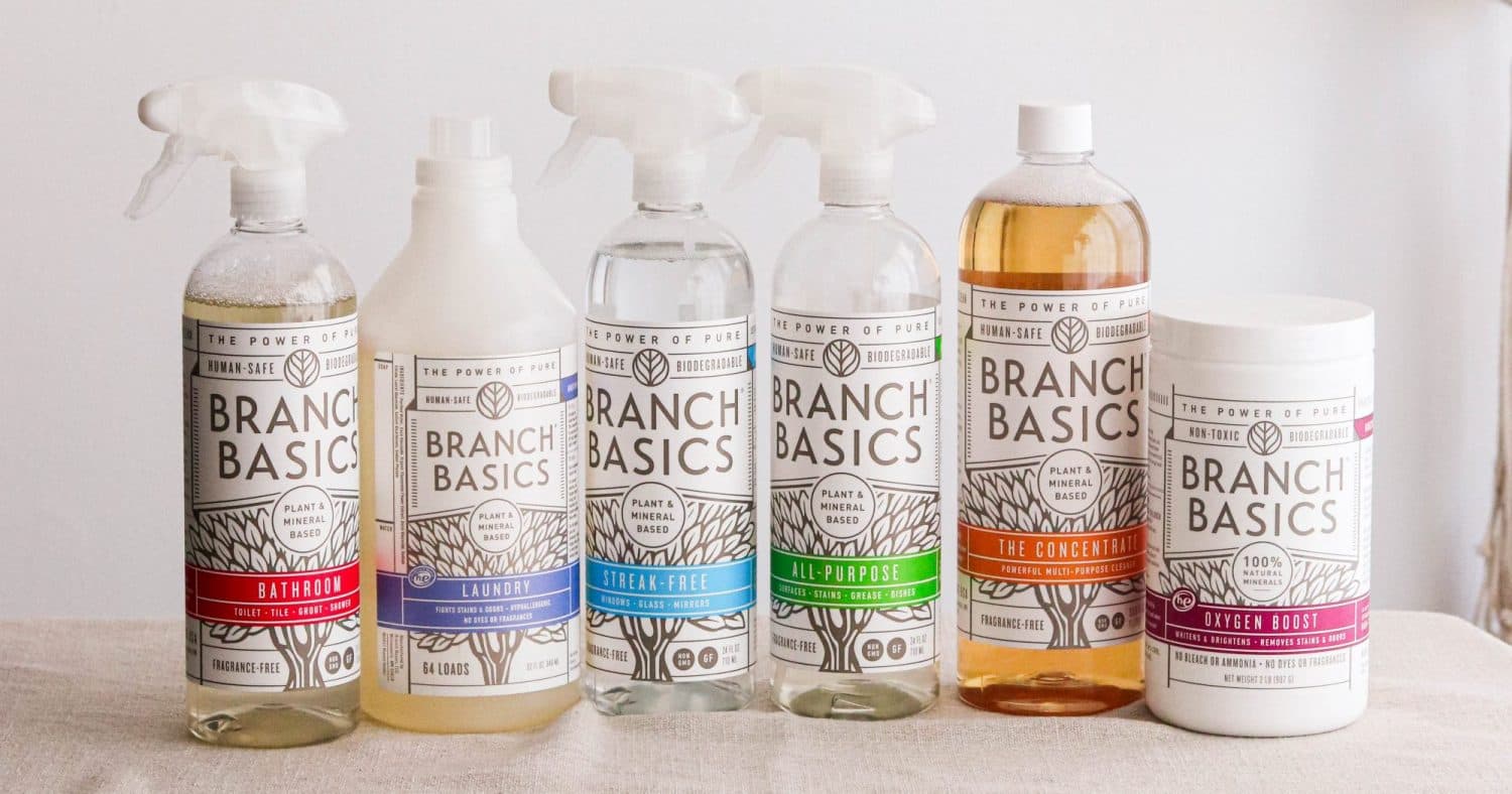 Branch Basics